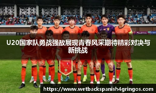 完美体育登录入口
